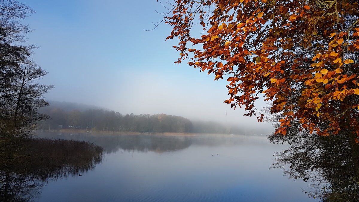Fontanes Wanderungen