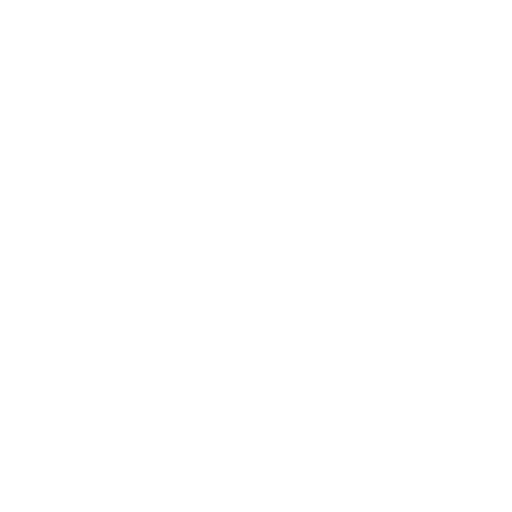 Fontanes Wanderungen