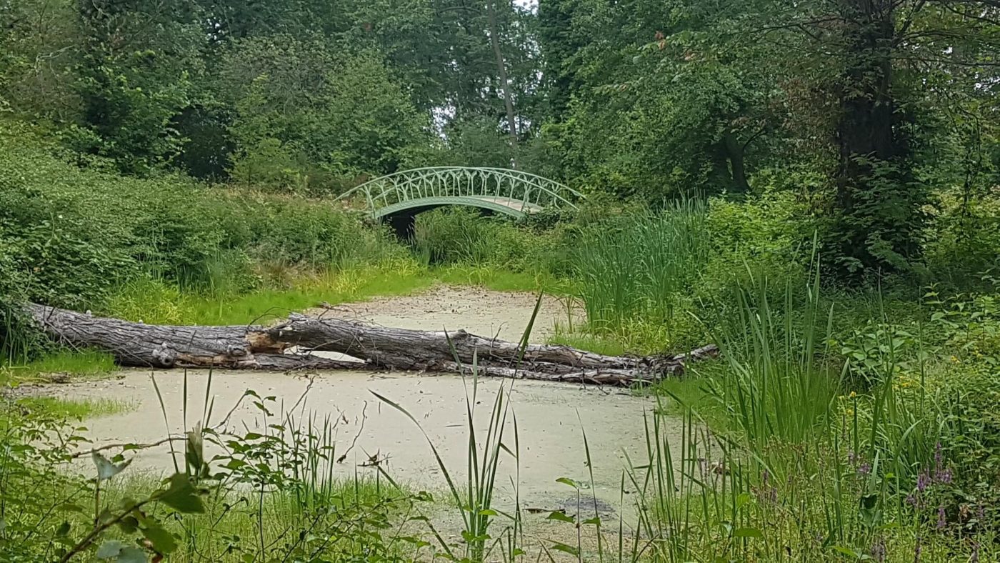 Fontanes Wanderungen